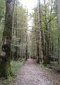 140926_02a_gruppe2 (12)